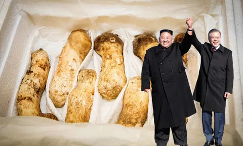 Mức giá "khủng" của món quà ông Kim Jong-un tặng Tổng thống Hàn Quốc