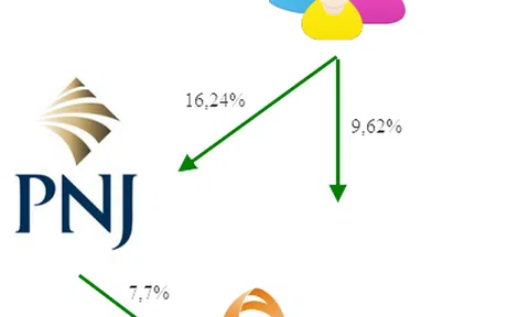 Vì sao Nguyên Tổng giám đốc PNJ thoát tội?