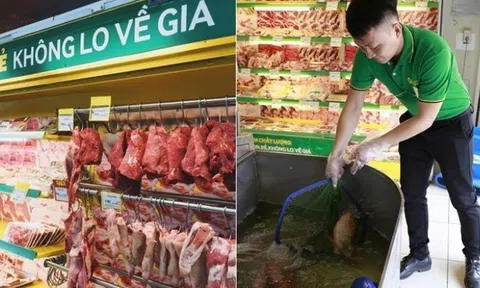 Vì sao Bách hóa Xanh muốn nhân rộng mô hình 'thịt tươi, cá lội'?