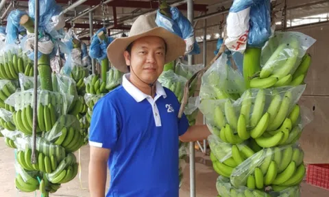 9 năm theo đuổi nông nghiệp sạch của CEO 8x