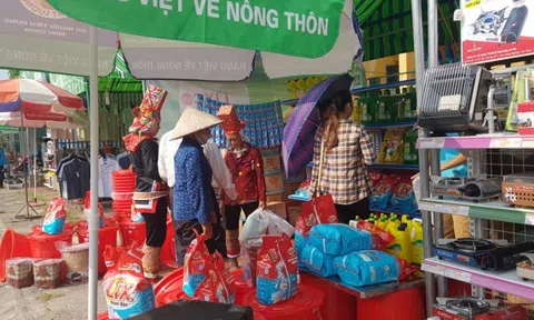 Doanh nghiệp Việt tìm cách ‘chinh phục’ người tiêu dùng nông thôn