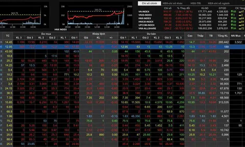 Chứng khoán 'sập sàn', tài sản của giới siêu giàu Việt Nam thay đổi thế nào?