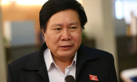 Đại biểu Quốc hội: 'Vì sao thuế nhập khẩu về 0 mà xe lại đắt hơn?'