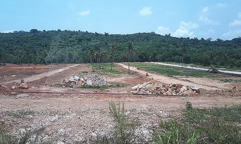 'Cò' đất đồng loạt rút khỏi Phú Quốc