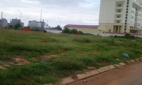 'Xã hội đen' náo loạn phiên đấu giá đất ở Bình Thuận