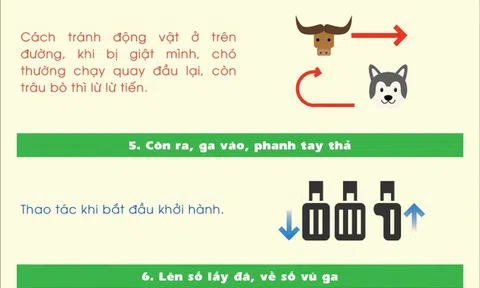 9 câu 'vọng cổ' cần nhớ cho người mới lái ô tô