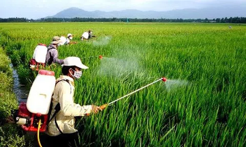 Thói quen dân Việt: Dính tới hàng Tàu, mang tiếng toàn cầu