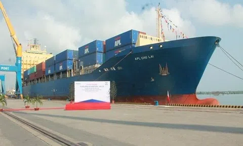 Sẽ tăng giá dịch vụ cảng biển vì... thấp hơn cả Campuchia