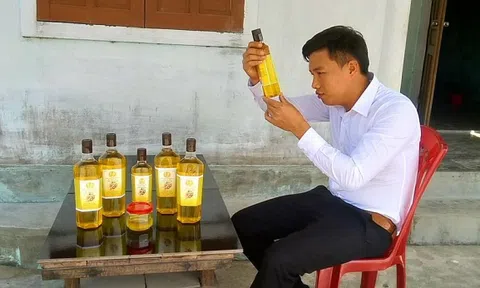Cựu nhân viên Vingroup khởi nghiệp để giải quyết nỗi đau của nông dân