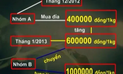 Những chiêu trò thu mua nông sản 'dị biệt' của thương lái Trung Quốc