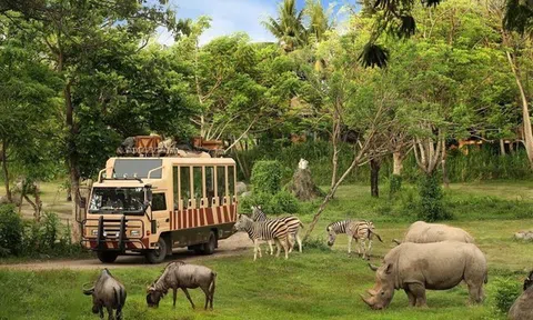 Đại gia Hong Kong bỏ chạy khỏi dự án Safari 500 triệu USD
