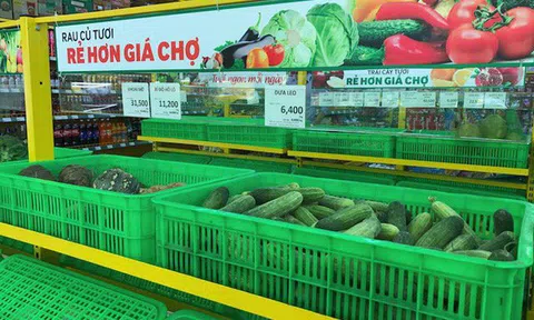 Sau 2 năm 'thử và sai', Bách Hóa Xanh đang đứng ở đâu so với các đối thủ CoopFood, SatraFood?