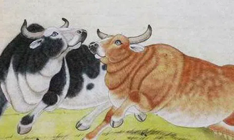 4 con giáp bị xui xẻo đeo bám, tiểu nhân liên tục quấy phá trong cuối năm 2018