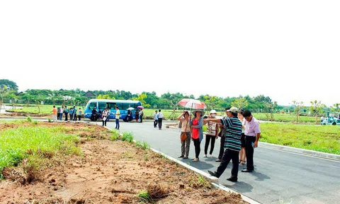 Thị trường đất nền, căn hộ TP.HCM đang diễn biến ra sao?