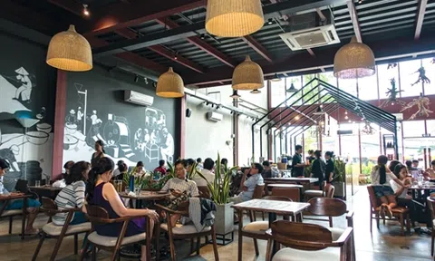 Seedcom thận trọng gieo giống
