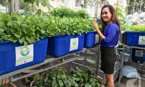 Giám đốc ngân hàng bỏ lương trăm triệu, trồng rau thu 2 tỷ/tháng