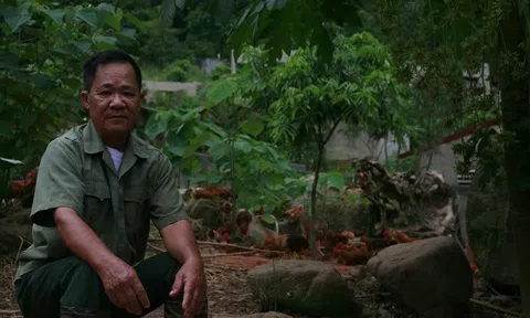 Nơi khỉ ho cò gáy, đi ngược gió bão giá lợn, lão nông thu 20 tỷ/năm