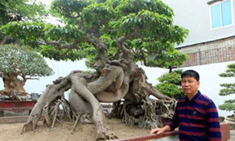 Đại gia chơi cây Toàn đô la nhận quả đắng chỉ vì 'sính ngoại'