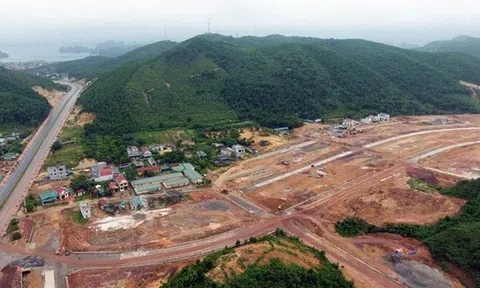 Bỏ quên 150 triệu giữa đồi, bỗng một ngày sướng nghẹn ôm 2,2 tỷ