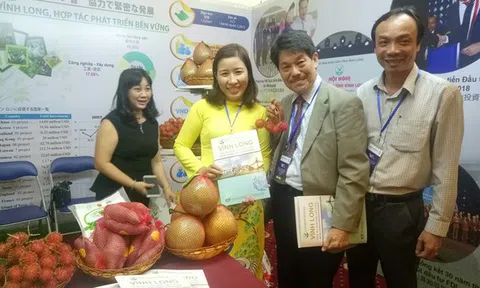Nhiều doanh nghiệp Nhật muốn chuyển từ TP.HCM về Cần Thơ