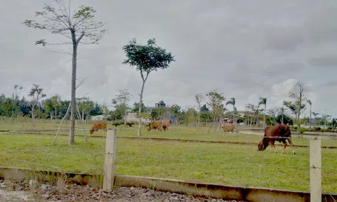 Đà Nẵng: 'Ma trận' giăng bẫy bất động sản