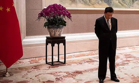 Chủ tịch Tập Cận Bình bắt đầu quan ngại, Tổng thống Donald Trump chưa nương tay