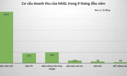 Công ty bầu Đức thay đổi ra sao sau quý đầu tiên bắt tay Thaco?