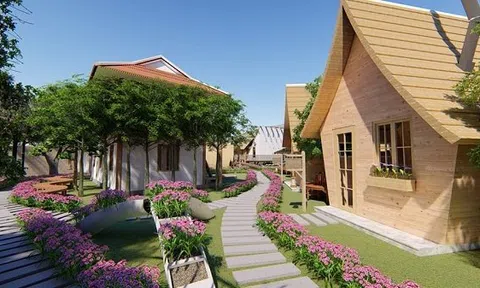 Đổ tiền chục tỷ xây nhà sang chảnh, 1 tuần đôi lần kiếm tiền triệu