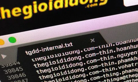 Hacker tung phần tiếp theo trong kho dữ liệu được cho là hack từ TGDĐ: có đủ số thẻ, không hề bị ẩn
