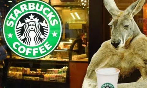 Câu chuyện của Starbucks ở Úc: Bành trướng quá nhanh để rồi bật bãi không kèn không trống