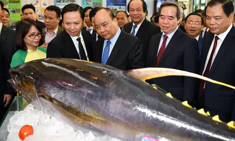 Thủ tướng: Cần nghiêm trị kẻ đưa thuốc trừ sâu quá mức vào nông sản