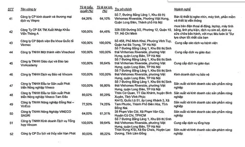 Rầm rộ ở Paris, Phạm Nhật Vượng liên tục 'chơi' vụ lớn trong nước