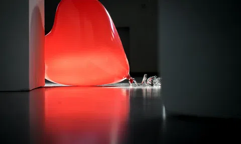 Đừng cố sống cố chết theo đuổi đam mê