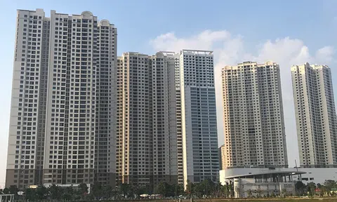 Dự án D'Capitale của công ty con Tập đoàn Tân Hoàng Minh bị đề nghị đình chỉ thi công