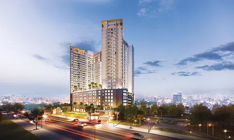 Phát Đạt: Thành công nối tiếp thành công