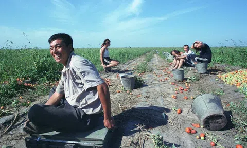 Xu hướng mới của thanh niên Trung Quốc: 7 triệu người gồm cả Thạc sĩ và Tiến sĩ đua nhau bỏ thành phố, đổ xô về quê làm nông dân