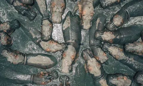 Không ảnh: 10 hình ấn tượng trong năm 2018