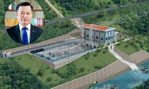 Phạt DN của Shark Nguyễn Thanh Việt chuyển đổi 10 ha đất sai mục đích