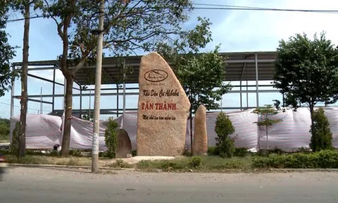 Lộ diện đại gia 9X đứng sau 'dự án' khủng của Alibaba