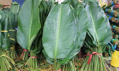 Chi tiêu Tết của mẹ đảm chỉ 5,1 triệu từ A đến Z, đầy đủ đối nội đối ngoại