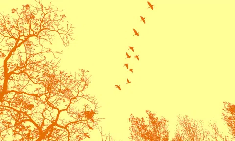 Muốn trở thành "Vị sếp hoàn hảo", đừng ngại ngần thực hiện những điều sau đây