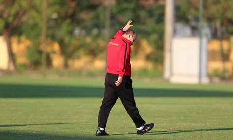 Hợp đồng của ông Park