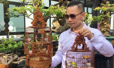 Chuyện chưa kể về ông vua chim màu và những cuộc ngã giá tiền tỷ săn chim quý độc nhất vô nhị ở Việt Nam