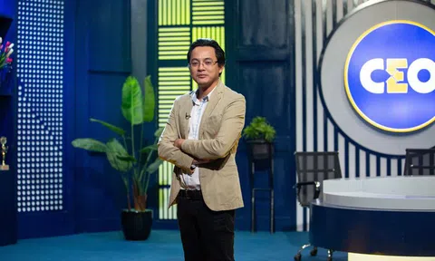 Trắng tay, đứng trên nóc nhà đầy bóng tối, CEO T nghĩ gì về tương lai của mình?