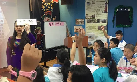 Cô dâu Việt tiết lộ lý do 152 khách Việt 'mất tích' ở Đài Loan