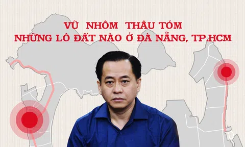 Vũ Nhôm thâu tóm những lô đất nào ở Đà Nẵng, TP.HCM