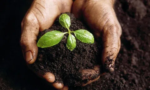 16 câu nói của người Do Thái giúp bạn trở nên khôn ngoan hơn