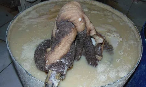 'Hô biến' sách bò đen thui thành trắng toát