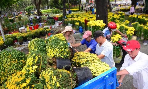 500 triệu đồng nên mua ôtô cho thuê hay đi buôn hoa dịp Tết?