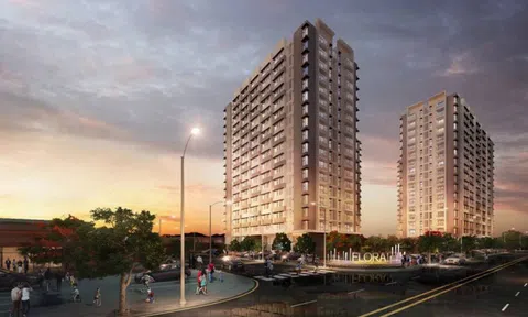 Nam Long chi 2.300 tỷ đồng mua 170 ha đất tại Đồng Nai, đầu tư cho dự án Dong Nai Waterfront City.